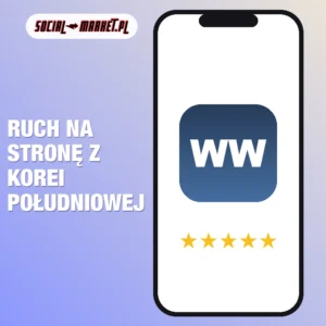 Ruch na stronę z Korei Południowej (Tistory), social-market.pl